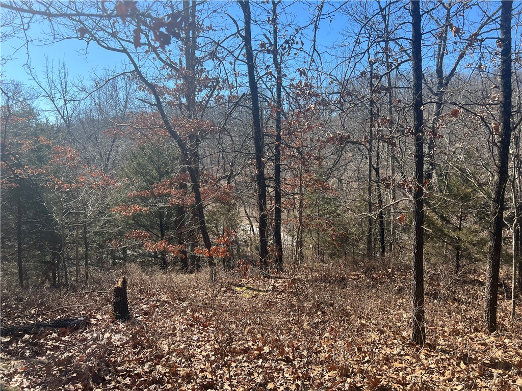Amazing Bella Vista LOCATION!  .50 acre, nearly flat lot on Bella Vista's west side.  Build your dream home with a view of the valley below!  Convenient access to Bentonville via 71 or Peach Orchard Rd. as well as quick access to shopping and dining.  Multiple trailheads surround this wooded lot.