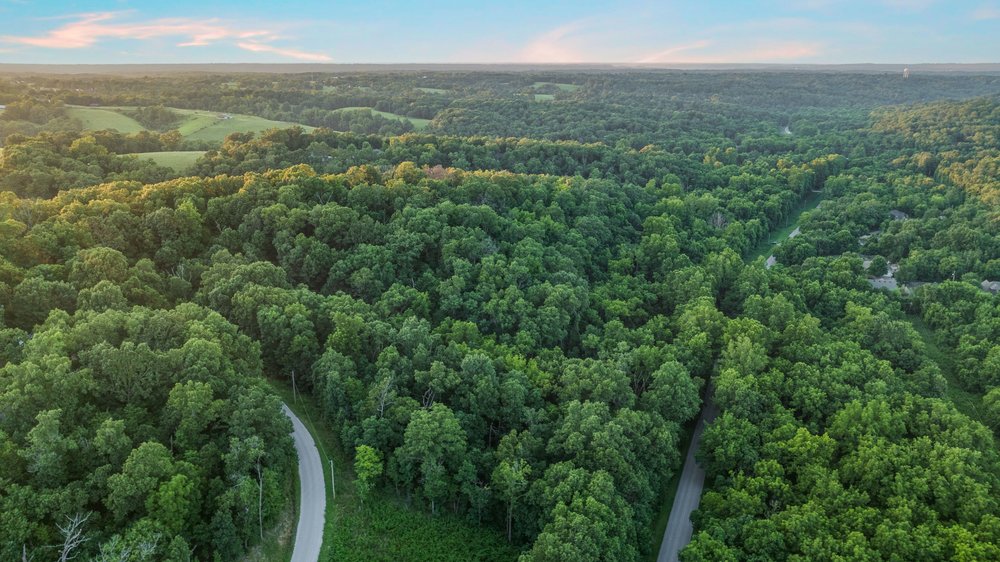 Great area! New construction homes coming up close by. Wooded lot so when you build your home you will be immersed in wildlife.  Don't miss seeing everything Bella Vista offer. You are wondering what? Well here are a few things to do and see. ( Not Everything!). Mountain Biking, Country clubs, lakes, golf courses, recreation areas, indoor and outdoor swimming, tennis, playgrounds, walking paths to commune with nature! A gorgeous part of the Ozarks! Close by is Bentonville with a World Class Museum, Bucky Ball light Show, Momentuary Amazeum, Bustling downtown with  restaurants, music venues and so much more!