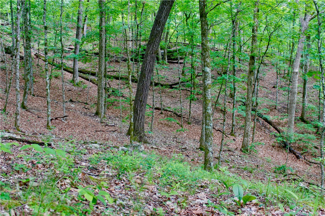 Leatherwood View Estate - Land
