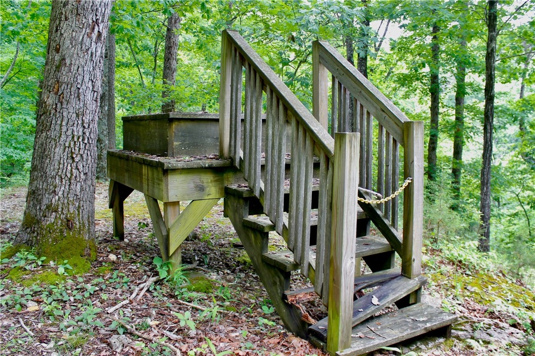 Leatherwood View Estate - Land