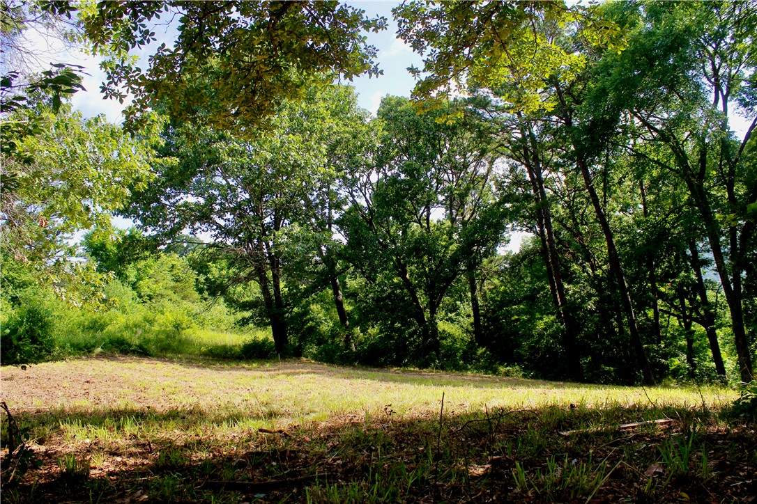Leatherwood View Estate - Land