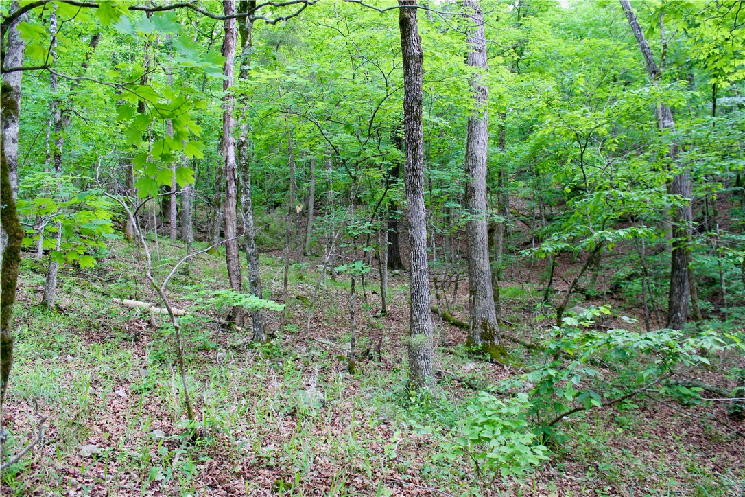 Leatherwood View Estate - Land