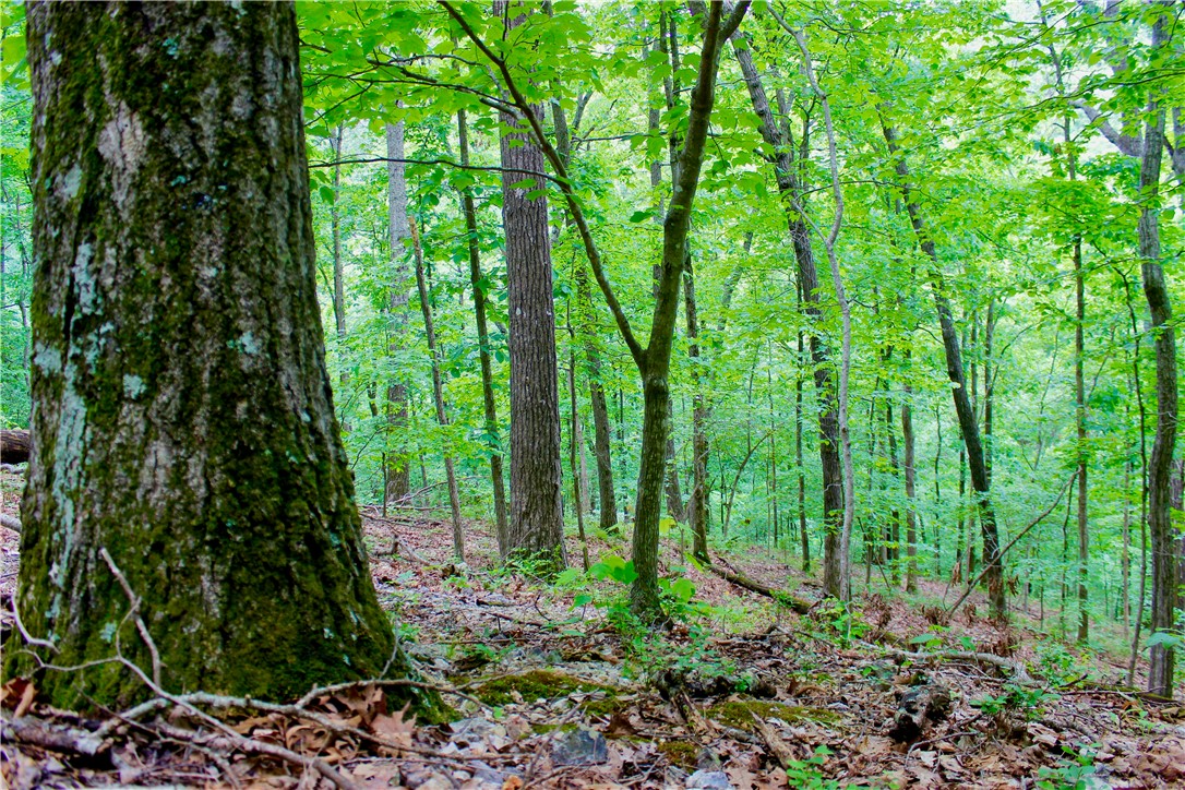Leatherwood View Estate - Land