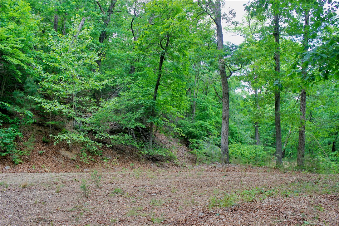 Leatherwood View Estate - Land