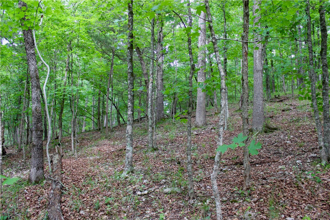 Leatherwood View Estate - Land