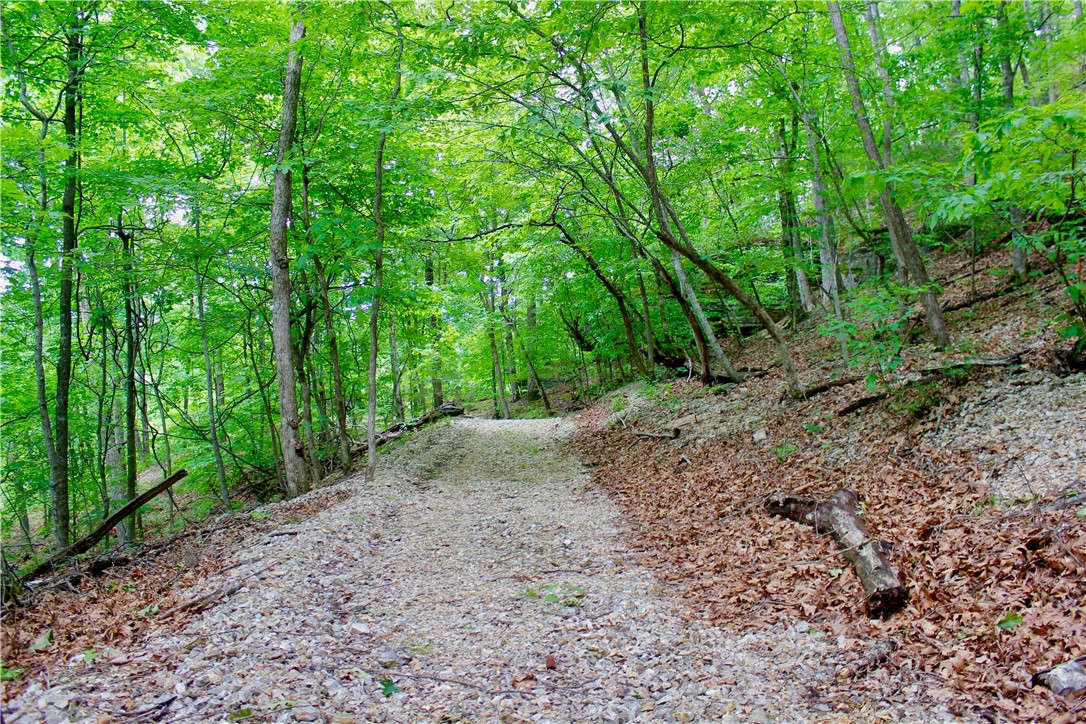 Leatherwood View Estate - Land