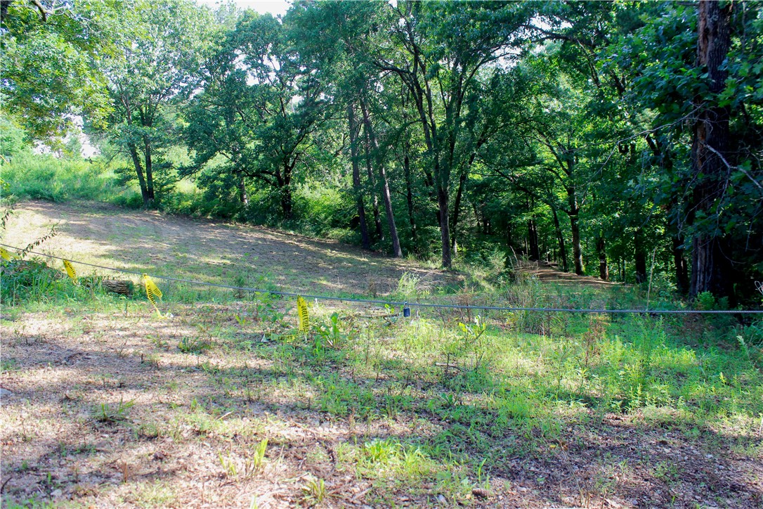 Leatherwood View Estate - Land