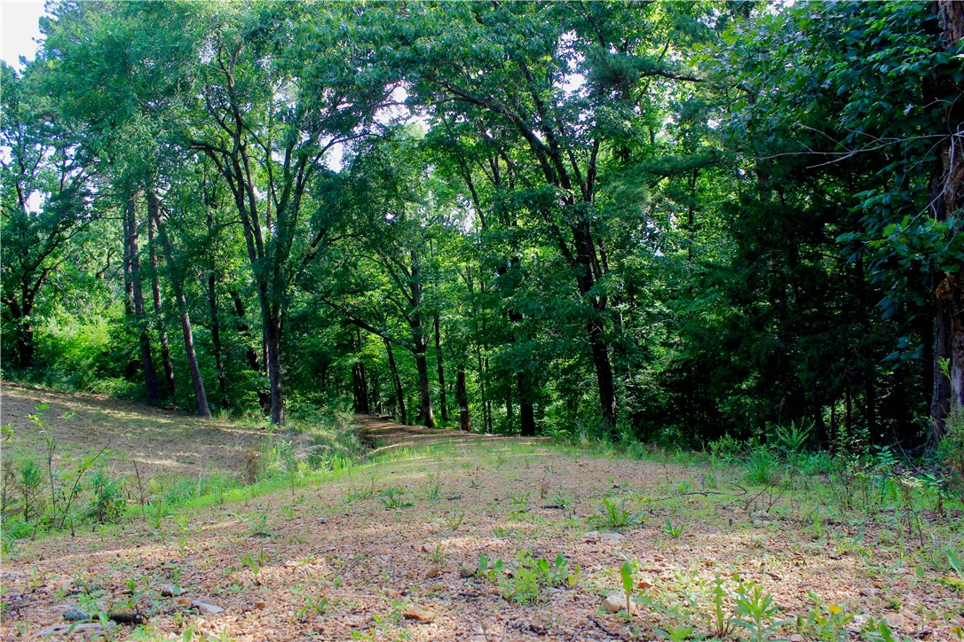 Leatherwood View Estate - Land