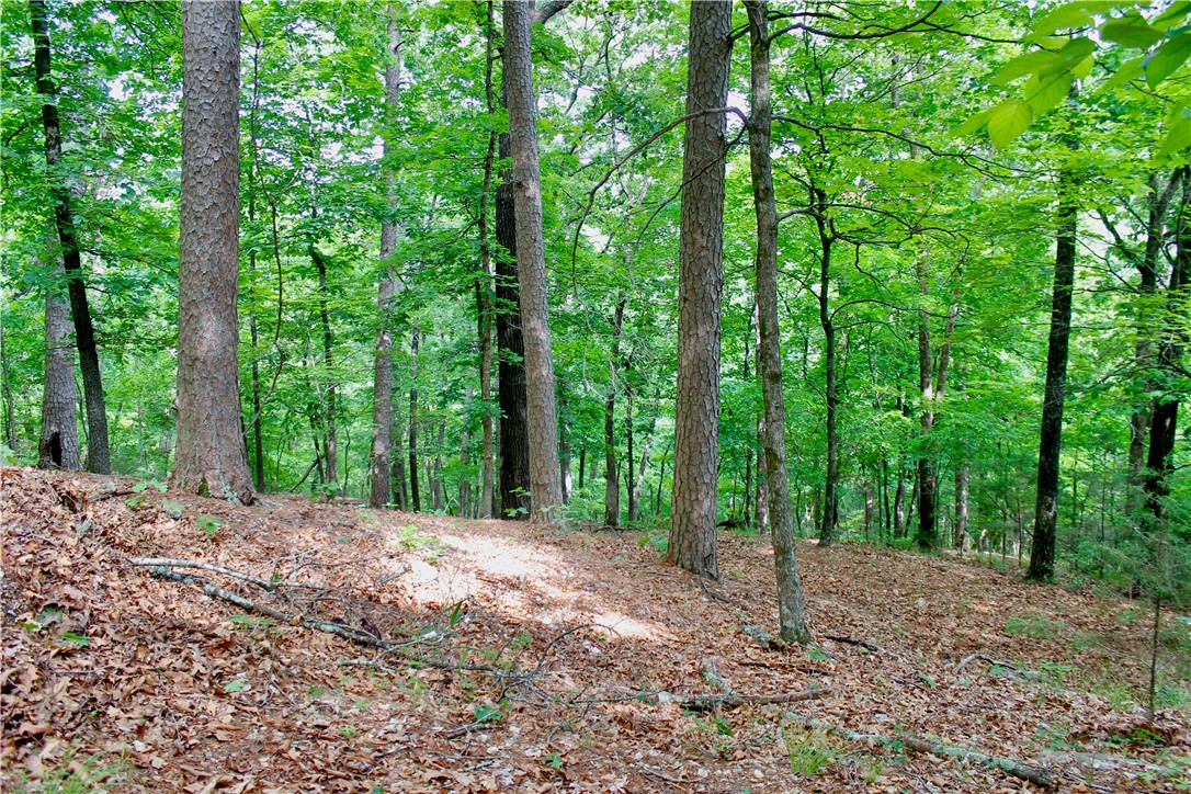 Leatherwood View Estate - Land