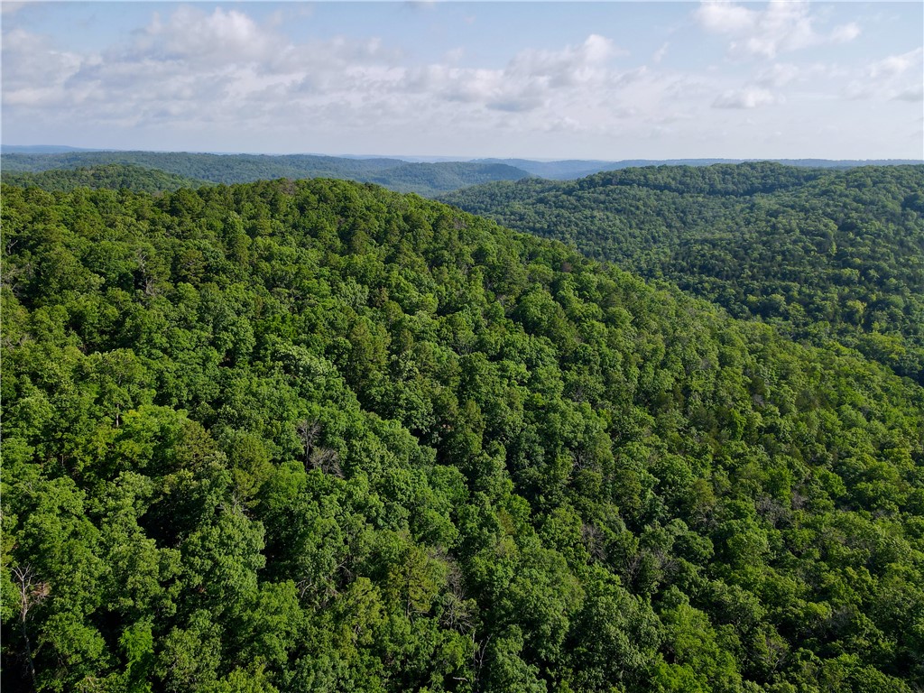 Leatherwood View Estate - Land