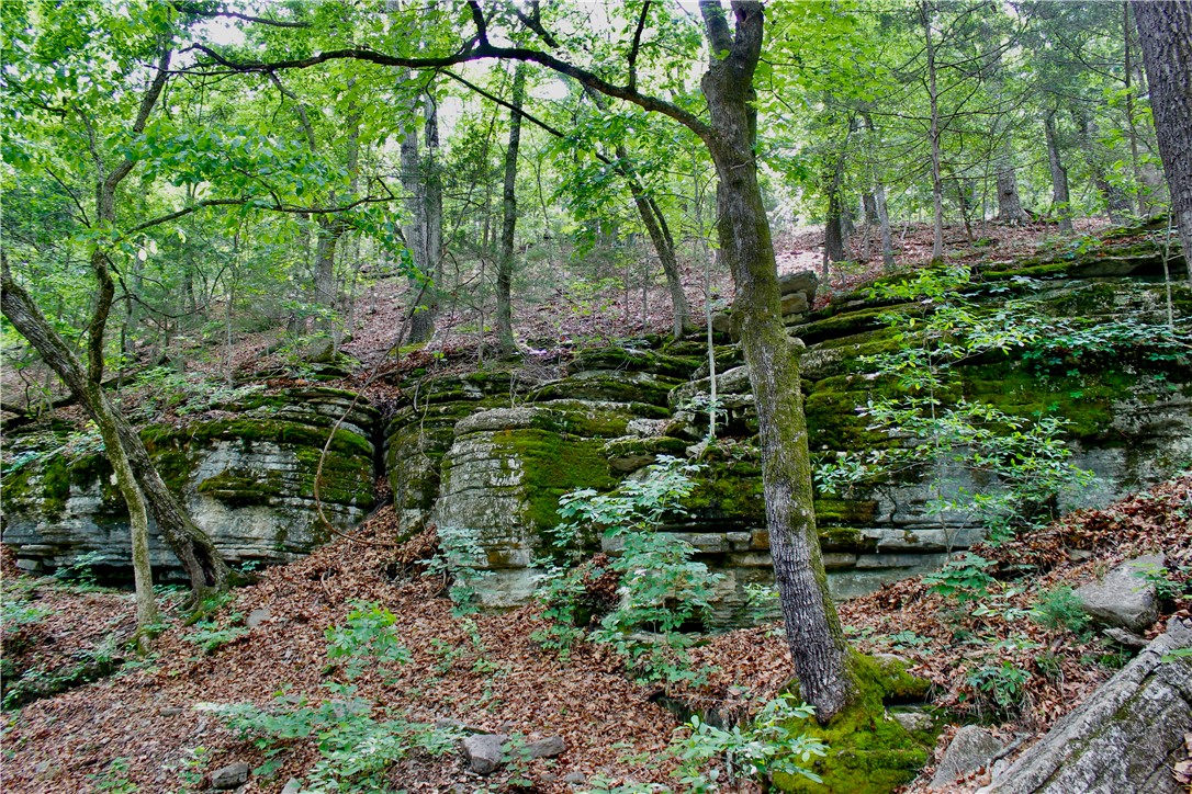 Leatherwood View Estate - Land
