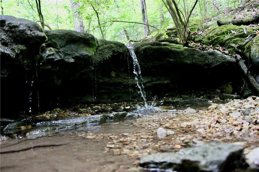 Leatherwood View Estate - Land