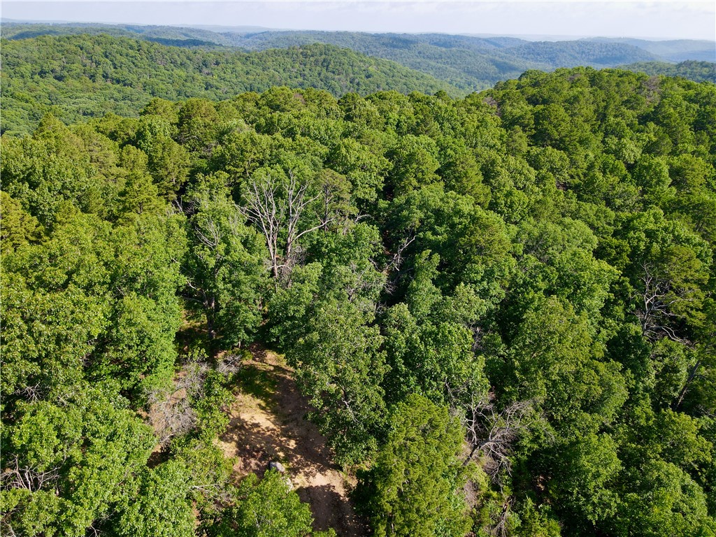 Leatherwood View Estate - Land