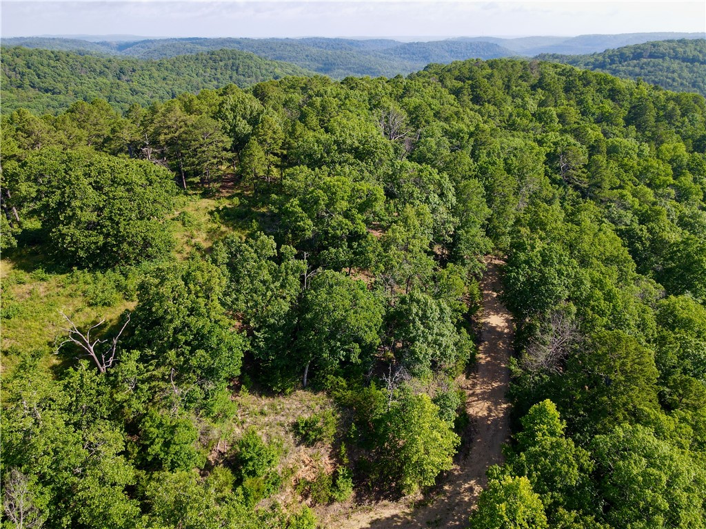 Leatherwood View Estate - Land