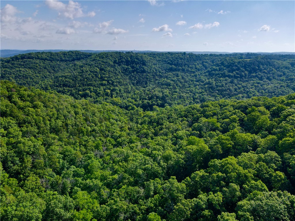Leatherwood View Estate - Land