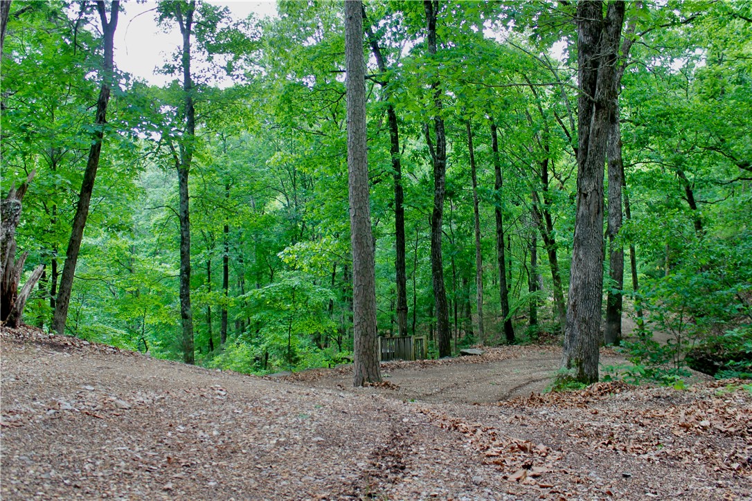 Leatherwood View Estate - Land