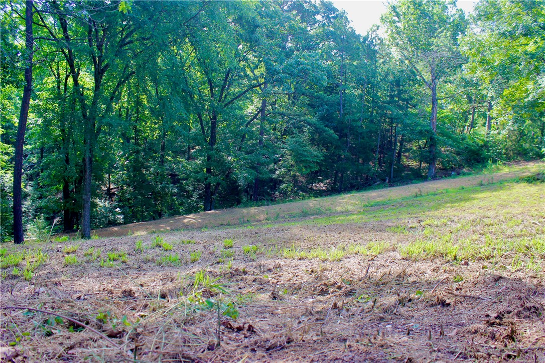 Leatherwood View Estate - Land