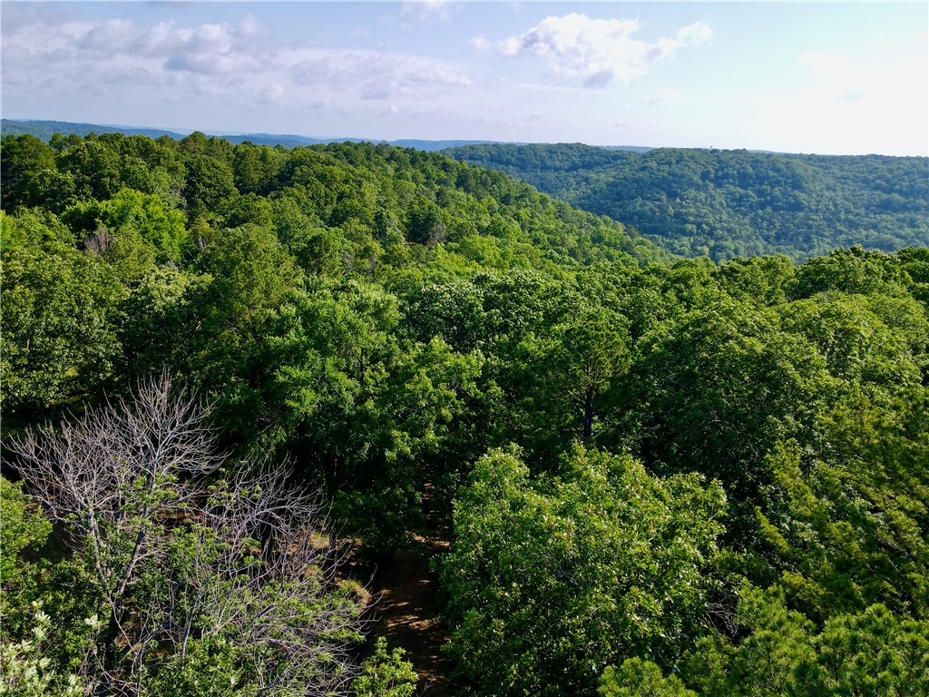 Leatherwood View Estate - Land