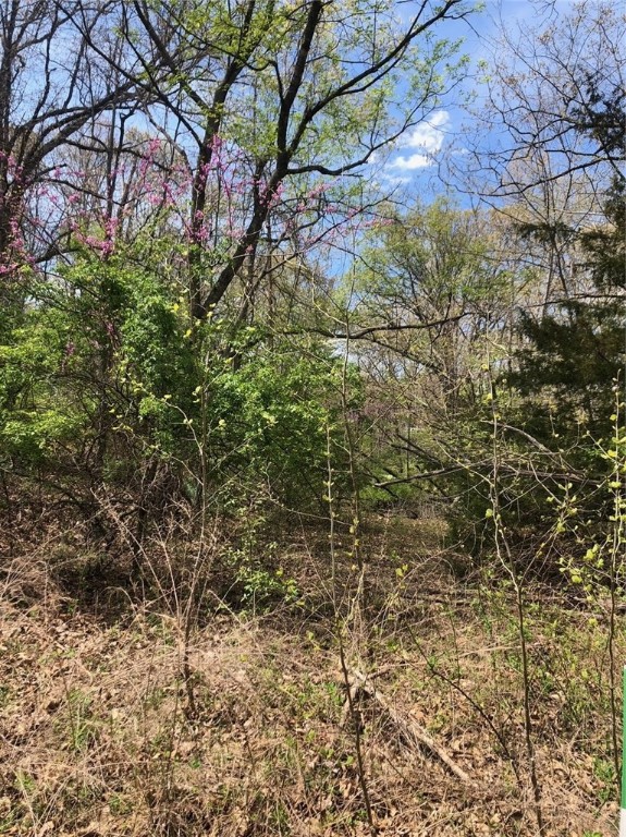 Very nice homesite with many options for placing your home. New homes in the area. South west Bella Vista location affords a direct shot to Bentonville. 8 Min drive. Don't let this unusual lot get by you. SOLD BEFORE PRINT