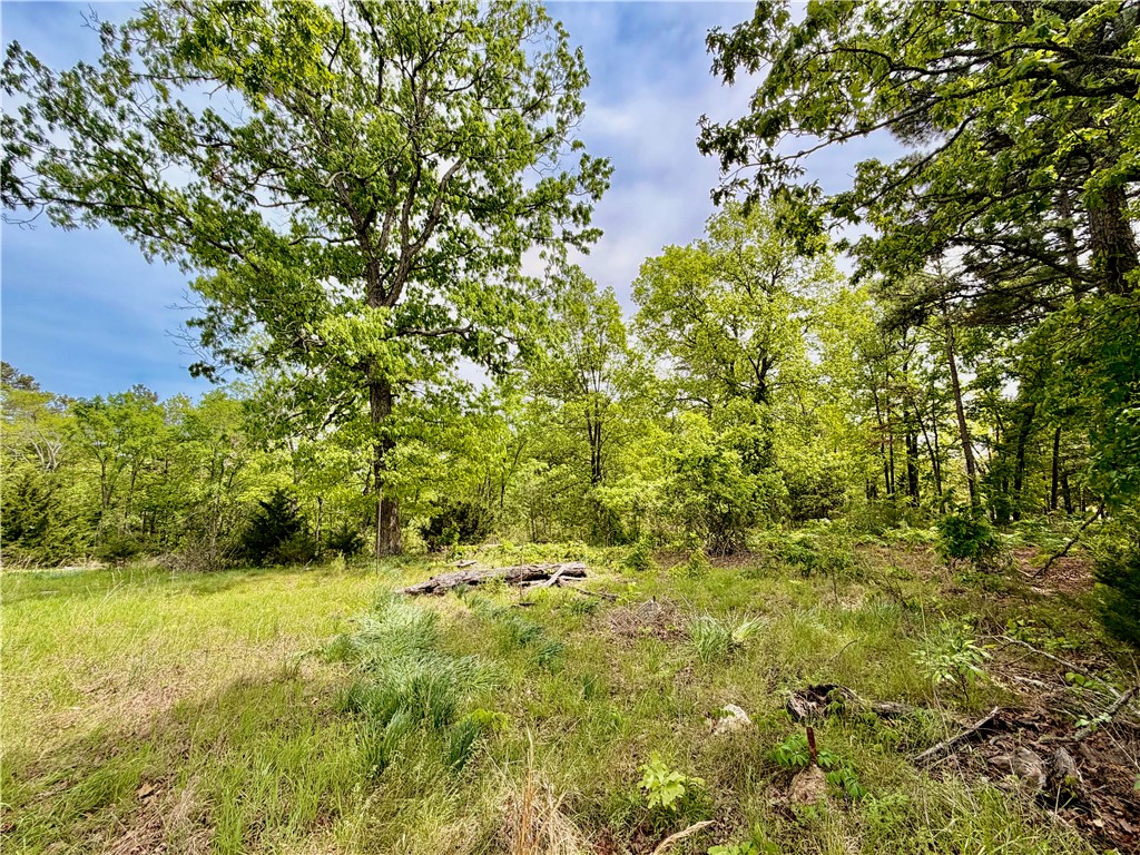 24+/- surveyed, unrestricted acres with highly desirable paved Highway 187 frontage in
the heart of Northwest Arkansas. Whether you’re looking to build, invest, or create a recreational retreat, this property offers the flexibility and location to make it happen. The land features level access from the highway and a level primary
build site, making it ideal for a home, cabin, or multiple structures. With additional usable ground, there’s excellent potential for expansion into multiple home-sites, cabins, or RV sites, giving this property many possibilities. Utilities are already in place with an older pre-existing water well and
electric on-site, saving time and expense as you bring your vision to life. The property also boasts unique natural features, including scenic draws accented by rock formations, perfect for creating private hiking trails or simply enjoying the beauty of the Ozarks. 9 minutes from Beaver Lake Dam and White River access, and 10 minutes from Eureka Springs, Arkansas.