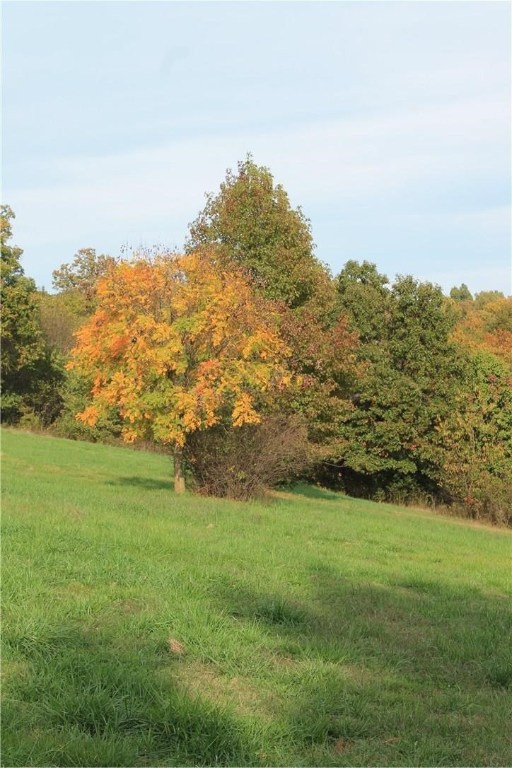 17-31 - Land
