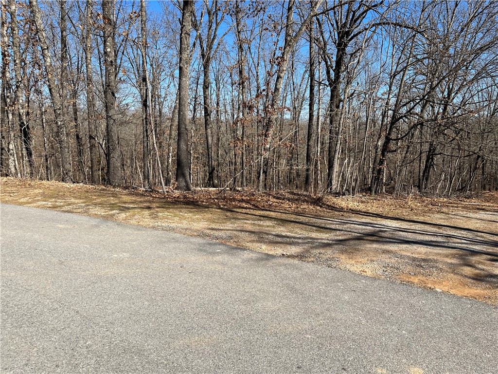 Attention Mountain Bike Enthusiast!  Bike trail access .4 Miles Homestead Trail and 1.5 Miles Bear Hollow Trailhead, Large Common Property Behind Lot, Lot is Gently Sloping, Paved Road, Short Drive to Medfield Recreation Center which offers Outdoors Swimming Pool, Workout Center, Skate Boarding, Playgrounds, Golfing. Bella Vista POA Monthly Fee $16 - Allows access to (7) Lakes, (6) Golf Courses, (2) Outdoors Swimming Pools, (1) Indoors Swimming Pool, (3) Workout Centers, Tennis Courses, Disc Golf, Gun Range, Golf Driving Range, Walking Trails, 100+ Miles of Mountain Biking Trails, (1) Sandy Beach, Pro Golf Shops, Fishing Docks, and much more.