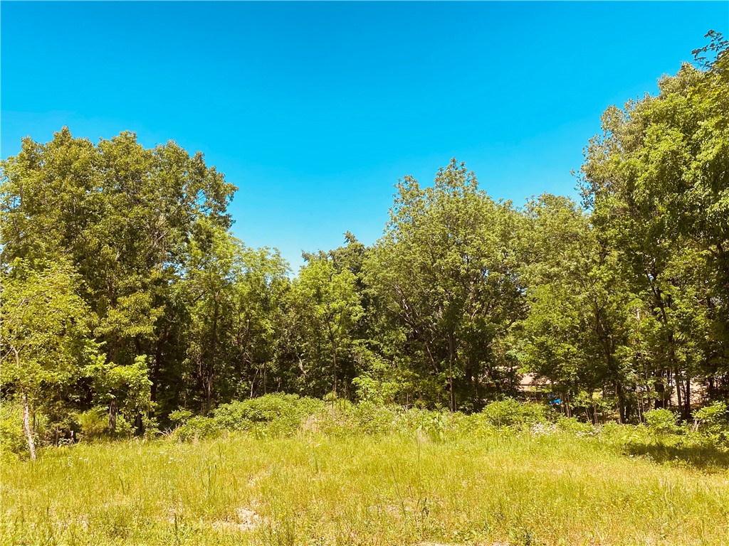 Create the home you’ve always imagined in the sought after Granshire neighborhood of Bella Vista. This growing area continues to attract attention for its peaceful setting, natural beauty, and convenient access to everything Bella Vista has to offer.

This buildable lot is ideally located just minutes from Lake Brittany and Lake Ann, with nearby access to golf courses, clubhouses, trails, parks, and outdoor recreation. Situated within the highly regarded Bentonville School District, it offers the perfect balance of relaxation, community, and convenience.

The lot has already been cleared of trees, adding both value and a head start for your future build. It also percs for a three bedroom home, making it ready for construction when you are. Whether you’re planning a full time residence,  a weekend retreat, or an investment, this property has it all.
