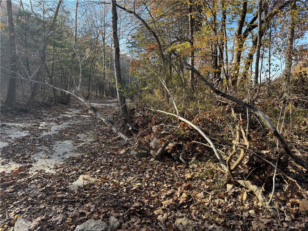 Tucked into the woods of Holiday Island, this beautiful Unit 4 lot offers the kind of setting that just makes you want to slow down and stay awhile. A charming little creek runs along the back of the property, giving you that peaceful, nature-filled backdrop—perfect for morning coffee, evening unwinding, and everything in between.

Whether you’re planning a full-time home, a weekend escape, or a smart investment, this lot gives you a great canvas to work with. The wooded surroundings offer privacy and character, while still being close to all the fun.

Enjoy everything Holiday Island is known for—golf, boating, fishing, tennis, and a relaxed community vibe. Plus, you’re just minutes from all the charm, dining, and entertainment of historic Eureka Springs.

And to make things even easier, seller financing is available—opening the door to more possibilities.

If you’ve been looking for a spot that blends nature, convenience, and a little bit of fun… this might be the one.