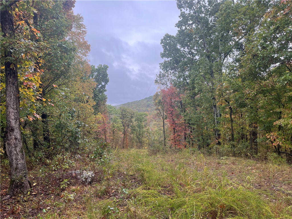 Looking for a beautiful secluded 30 acres of pristine NWA?? Look no further! Enjoy a scenic drive out to this secluded piece of Arkansas beauty! Piece and quiet, as well as deer, turkey and bear adorn this property! With public water available, it is ready for its next owners whether it be a quaint cabin in the woods or a grand estate, this property is ready for whatever the next owner is after! Schedule your showing today!! Seller is willing to split the property along the road and there are great building sites on both sides near the top.