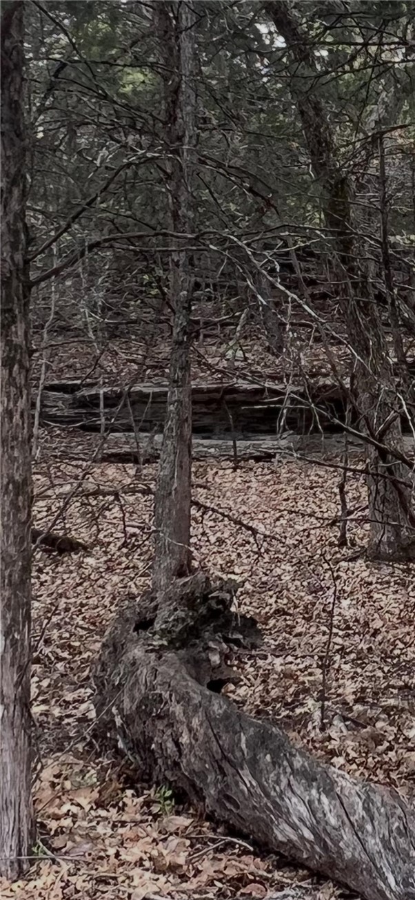 Lost Bridge Village - Land