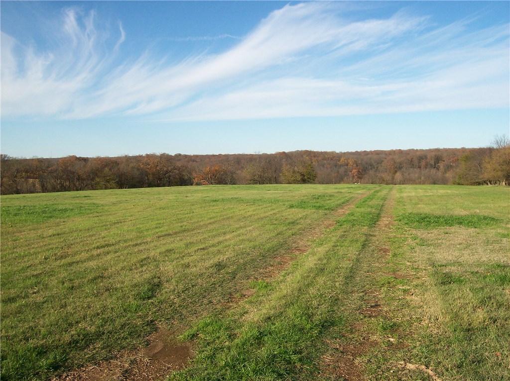 No - Farm