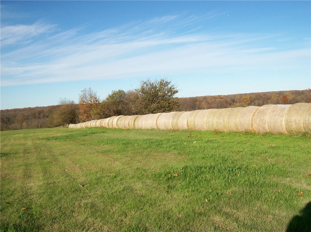 No - Farm