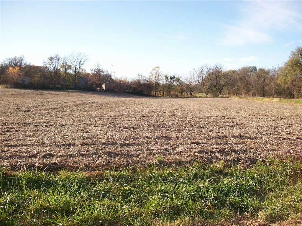 No - Farm