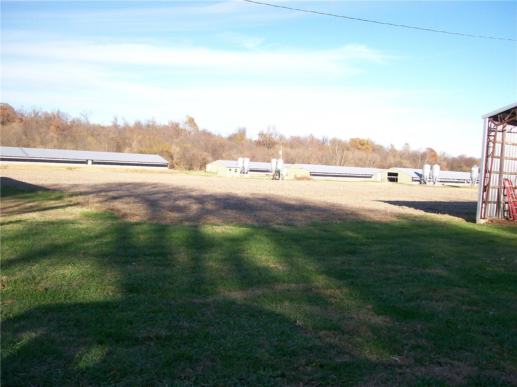 No - Farm