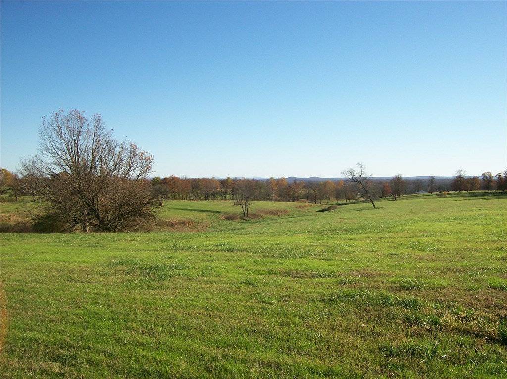 No - Farm