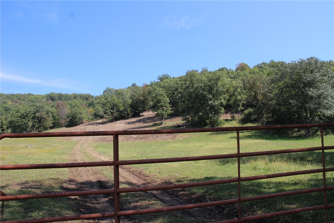 Hunters' paradise! Hogs, deer, turkey, can be seen on these 106 acres. Property has approx. 80-90acres of wood with several cleared areas. Trails are cut throughout the land. Several spots on top of the mountain to clear and build your dream home with a beautiful view. There is a small field that can be used for hay. 2 ponds, one on the lower part of the property and one on top of the mountain. A creek runs through a portion of the acreage as well. The property has been used in the past to run cattle, and the opportunity to clear for more pasture is an option. A creek has to be crossed in your vehicle about 4 times on the way to the property as the county road winds back and forth across it. Sometimes it
 has water in it and sometimes it is dry.
