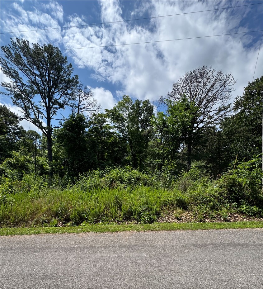 Membership lot in Bella Vista. Less than 1000 feet to Back 40 Trail, near Lake Brittany and Metfield Golf Complex.