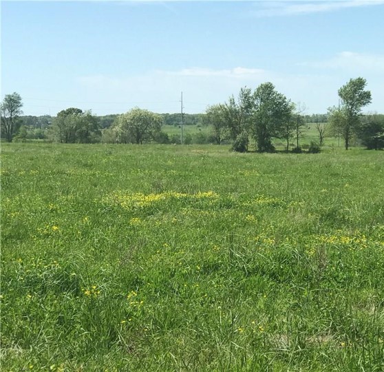 Close to Bentonville West High School.