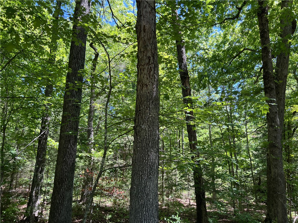 The property features a nice building site with lots of hardwood trees, NO restrictions, and has 6.31 Acres M/L. The property is southernly facing and would make a great spot to go off grid. Call today to schedule a showing.