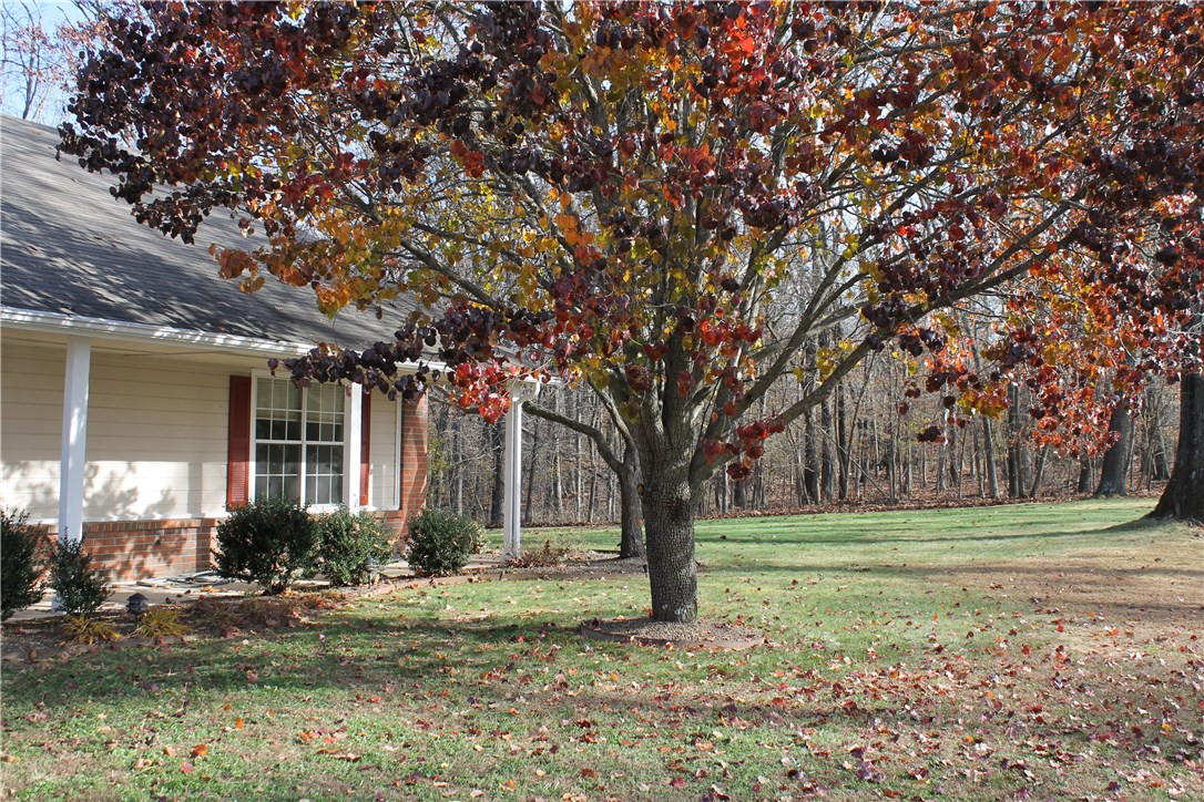Little Flock - Residential