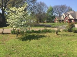 Razorback Subdivision (Danville) - Residential