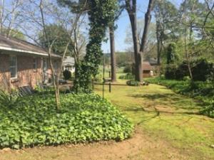 Razorback Subdivision (Danville) - Residential
