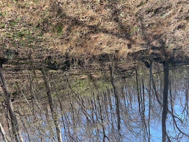 Very nice 0.29 acre lot.  Steep upslope with great views from the back of the lot.  Very buildable lot.  Amenities in Holiday Island include 2 golf courses, country club, marina, fishing docks, recreation center, pickleball courts, parks, walking trails and more.  Don't miss your opportunity to own a piece of the Ozarks today.