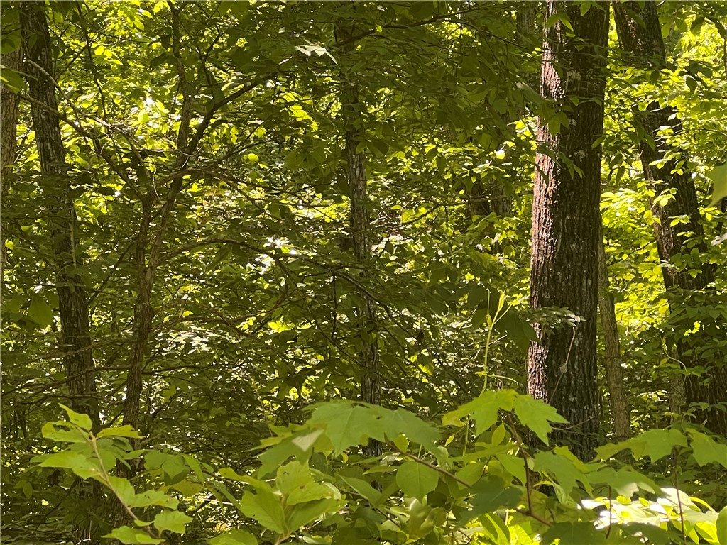The property features a building site with lots of hardwood trees, seasonal creek, rock bluff view, NO restrictions, and has 4.59 Acres M/L. Call today to schedule a showing.