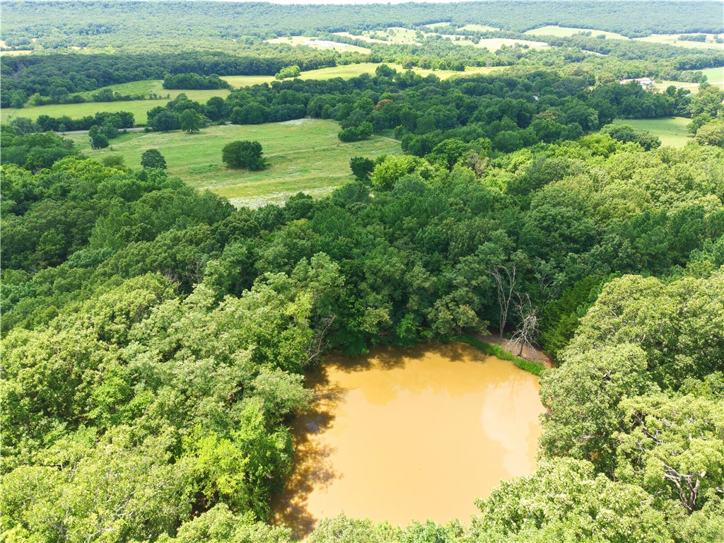 Washington AR Co Unplatted - Residential