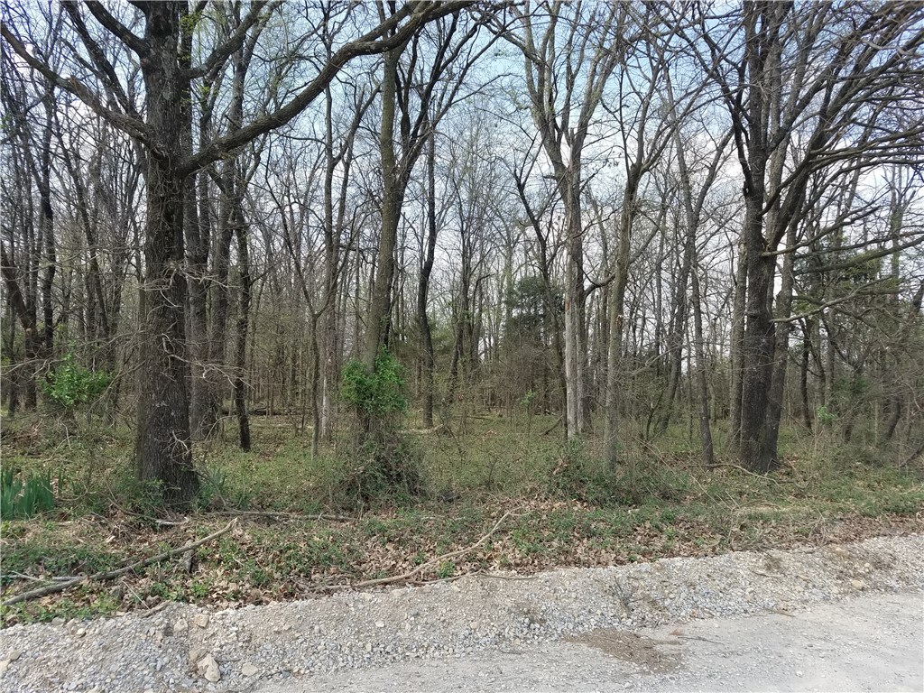 Access from Bloomfield and Bozarth Cemetery Road. Level, Mostly wooded land. Great place to build a home. Road frontage on Bloomfield and also Bozarth Cemetary Road.