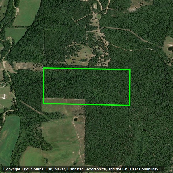 Land for sale in Alpena, AR! Own this majestic 83.3 surveyed acres of Carroll County land just 4 miles S. of Alpena, AR. Positioned minutes off of Highway 412, this property blends deep Ozark roots with prime investment potential. Steeped in history, it is believed to be the original 1913 homestead of local schoolteacher Lee Elmore. The acreage boasts a scenic mix of mature marketable hardwood timber, rolling hills, and rich wildlife habitat ideal for outstanding whitetail deer and wild turkey hunting. Prior owner reports a cave and spring on-site. Whether you are looking to build a secluded dream home with a view, establish an off-grid modern homestead, or secure a private recreational hunting retreat, this tract offers ultimate privacy and versatility. Excellent regional connectivity: easy access to Hwy 412, approximately 2 hours south of Springfield, MO, and 6.5 hours to the Dallas metro. Own a piece of authentic Arkansas history. Schedule your private tour today.
