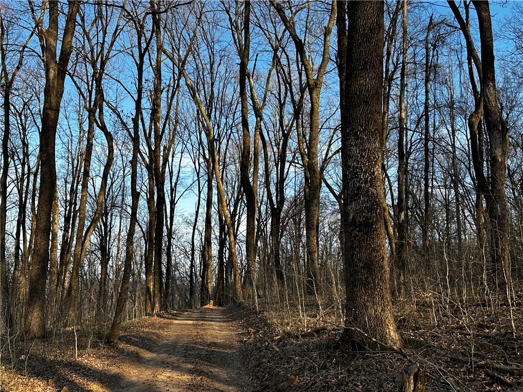 Just 3 miles from St. Paul, Arkansas, this 52.75-acre wooded retreat offers an ideal hunting and nature sanctuary. Tucked into a mountainside, the property features seasonal springs and complete privacy. Access is via a rugged private road—ideal for 4WD enthusiasts—adding to the sense of adventure and seclusion. Whether you envision a hunting paradise or a private escape, this property is your gateway to the Ozarks wilderness.