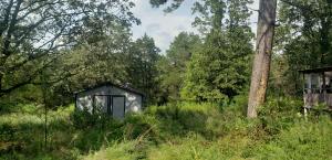 Secluded spot for your double wide or build a new home. 4.2 acres with an old double wide (in need of tearing down) sits of the property.  There are a few other out buildings and septic, water and electric appear to be in place. Buyer to confirm utilities. Property to be sold as is. No disclosure to be provided.