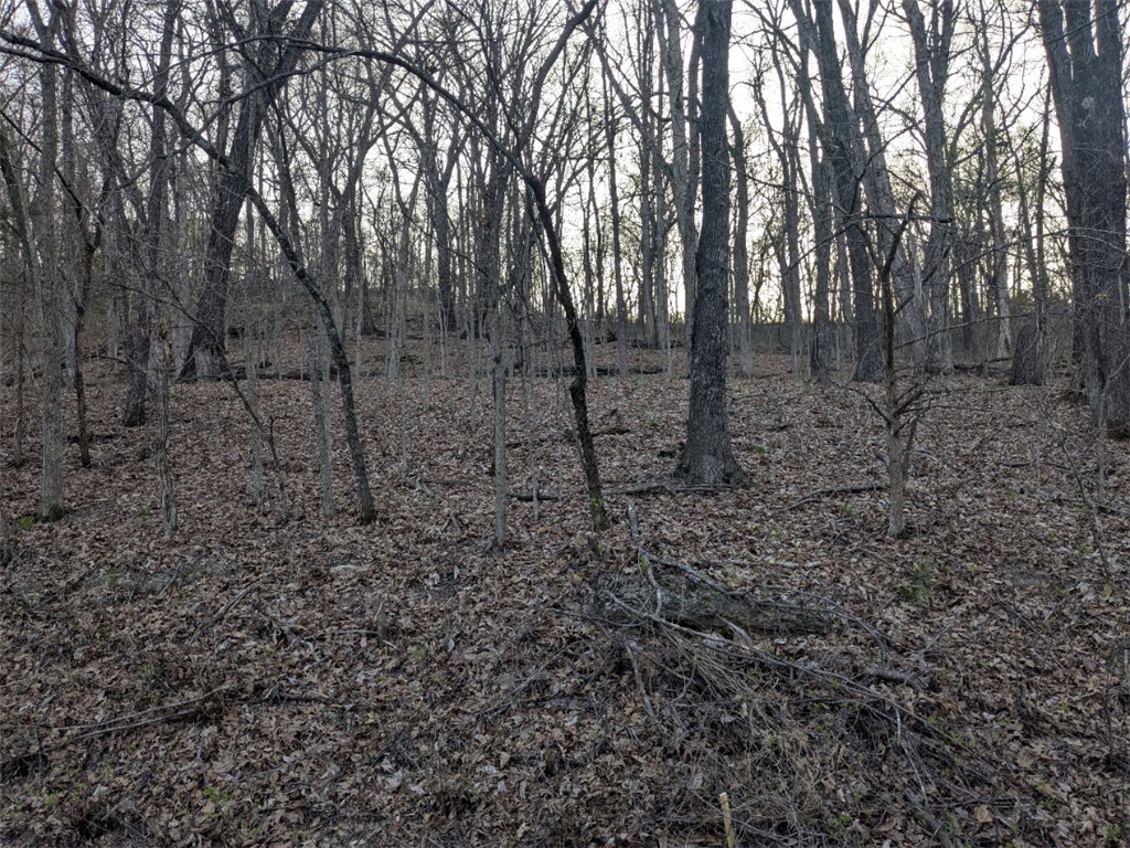 Ready to build your dream home? Quiet and gently wooded, this lot with water and electric available at the street gives you the best of both worlds. Enjoy the amenities in Holiday Island like golf courses, a country club, swimming, tennis and a marina with a fishing dock or watch the local fauna from your back deck! Nearby Eureka Springs or Rogers offer great shopping and vibrant cultural hubs.